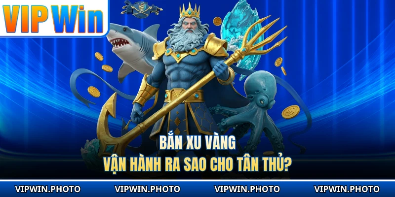 Bắn xu vàng vận hành ra sao cho tân thủ?