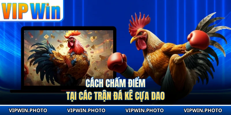 Cách chấm điểm tại các trận đá kê cựa dao