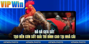 Đá Gà Cựa Sắt Tạo Nên Cơn Sốt Giải Trí Đỉnh Cao Tại Nhà Cái